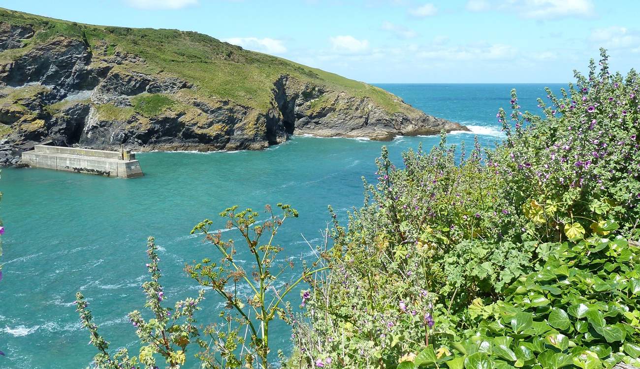 The harbour from the cliff edge at Port Isaac.