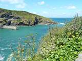 The harbour from the cliff edge at Port Isaac.