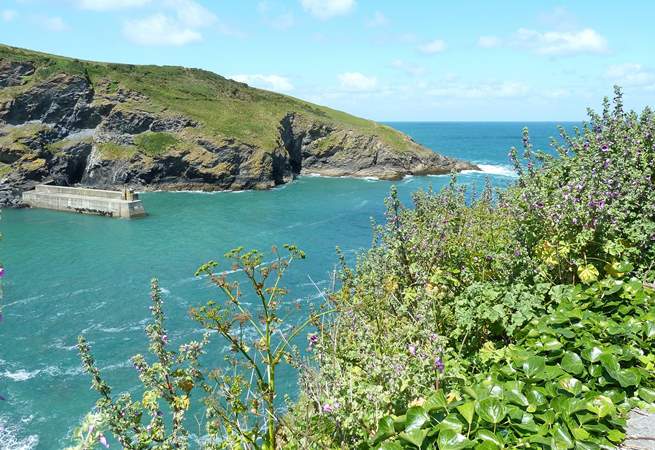 The harbour from the cliff edge at Port Isaac.