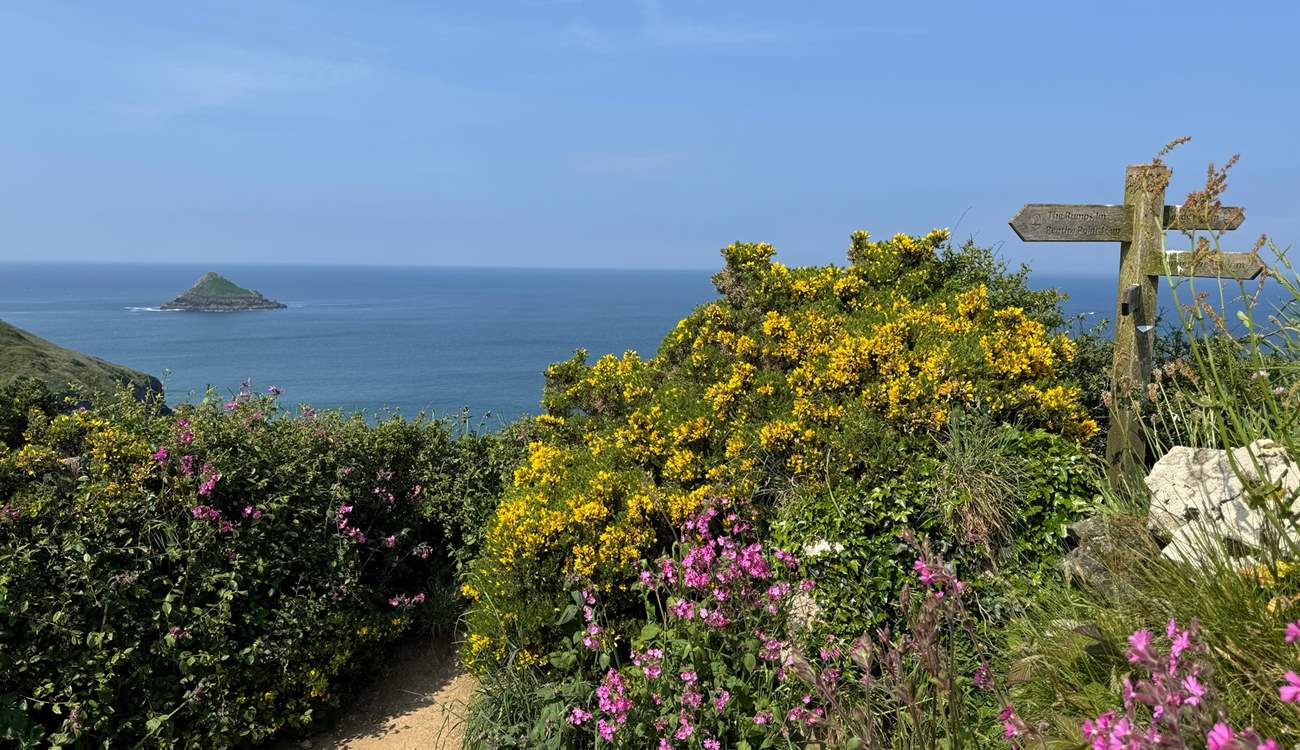 So many wonderful paths to explore.