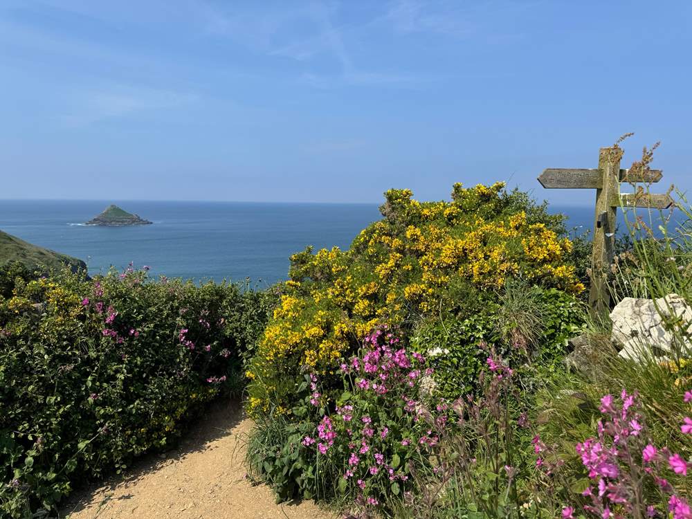 So many wonderful paths to explore.