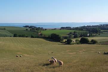 A view from the cliffs above East Budleigh with Budleigh Salterton in the distance. This is the start of the famous Jurassic Coast.