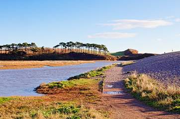 The beautiful River Otter at Budleigh Salterton, you can park in Otterton and follow it all the way to the coast.