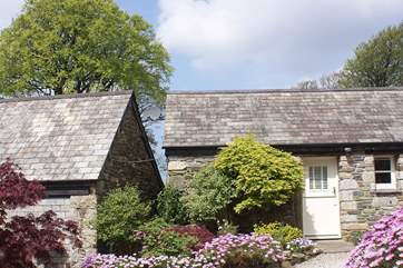 The front door into the annexe with the main cottage to the left.