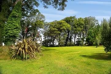 The lovely spacious shared garden.