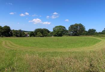 The owners offer two enclosed dog paddocks for you to enjoy with your four legged friends.