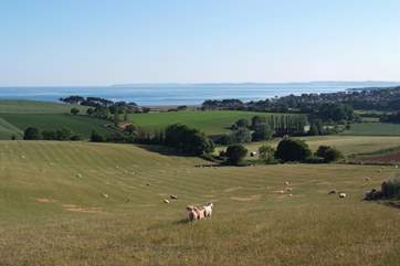 East Devon has unspoilt countryside and a stunning coastline.