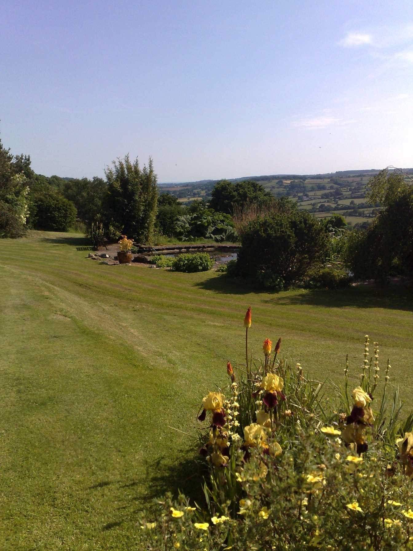 What a wonderful garden to explore!