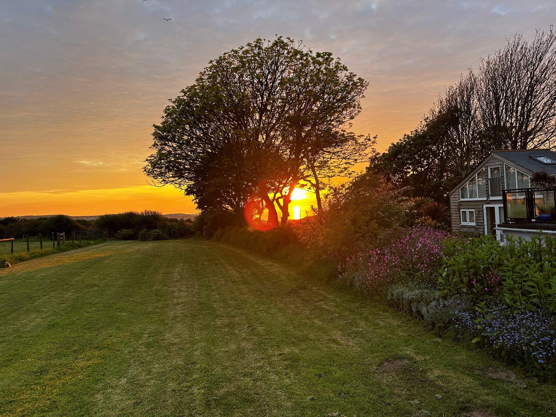 Looking through to The Summer House from the owners' fields (guests are welcome to explore and meet the animals).