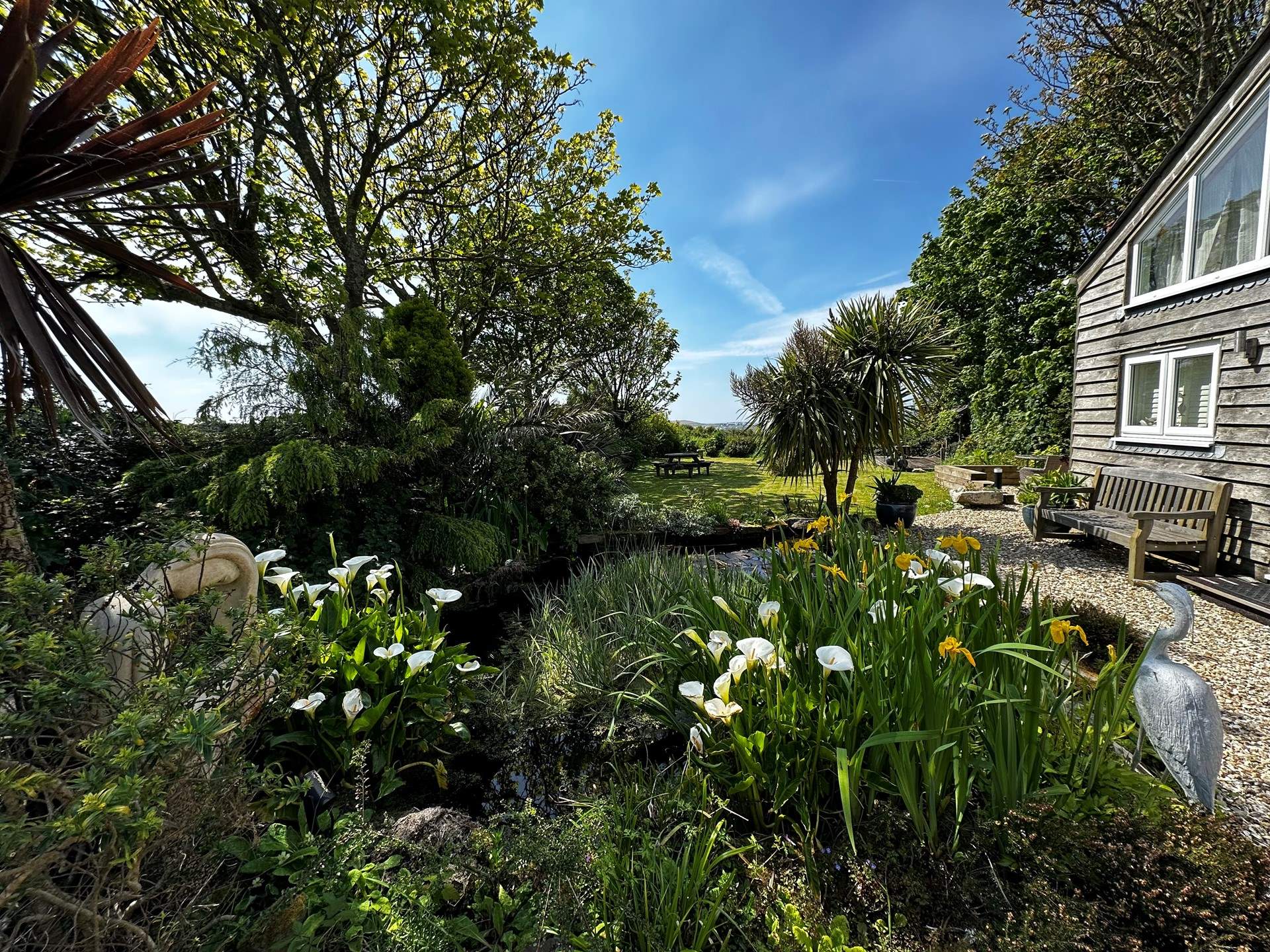The pond is filled with beautiful flowers in May. 