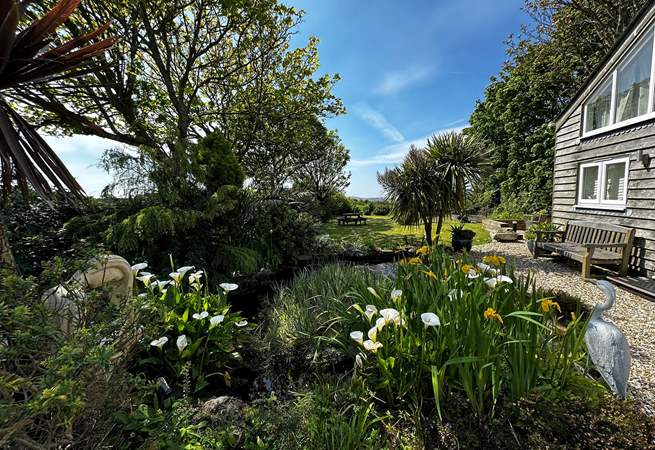 The pond is filled with beautiful flowers in May. 