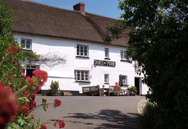 This is the Duke of York in Iddesleigh - featuring in 'War Horse'.