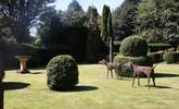 As well as the meadow around The Pump House you have sole use of this private garden close by. - Thumbnail Image