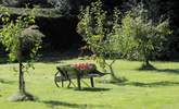 Apple orchards are symbolic of Somerset. - Thumbnail Image