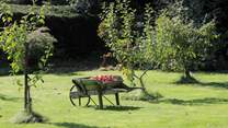 Apple orchards are symbolic of Somerset.