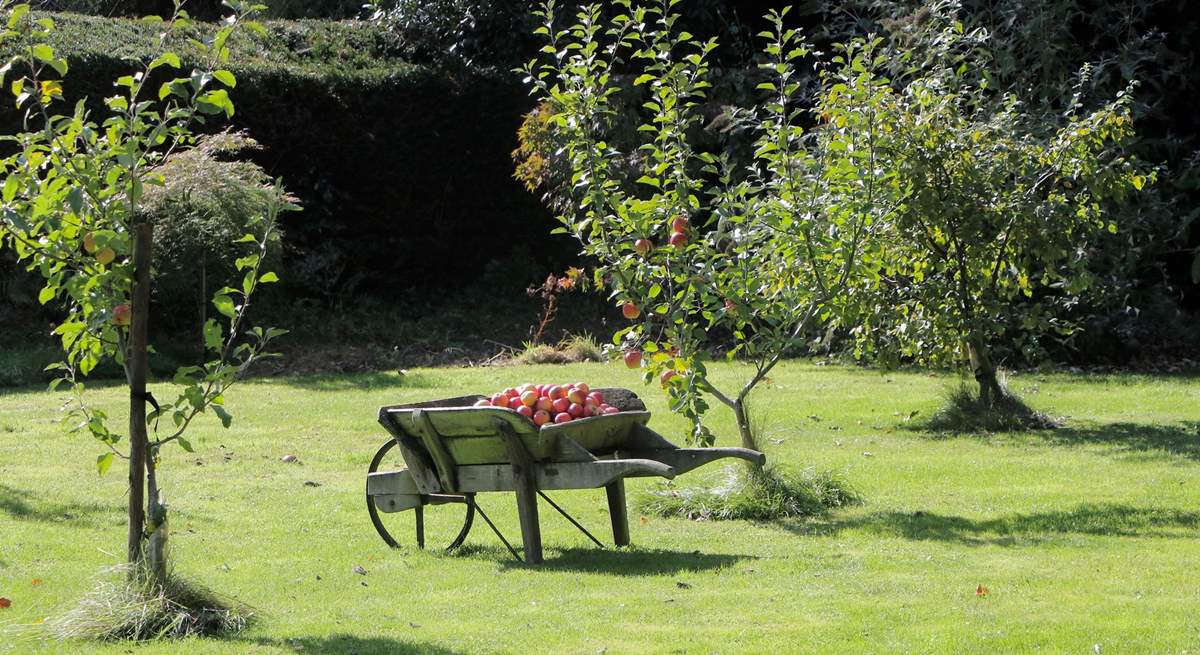 Apple orchards are symbolic of Somerset.