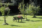Apple orchards are symbolic of Somerset.