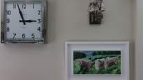 Artwork from local artists adorns the walls throughout The Pump House.