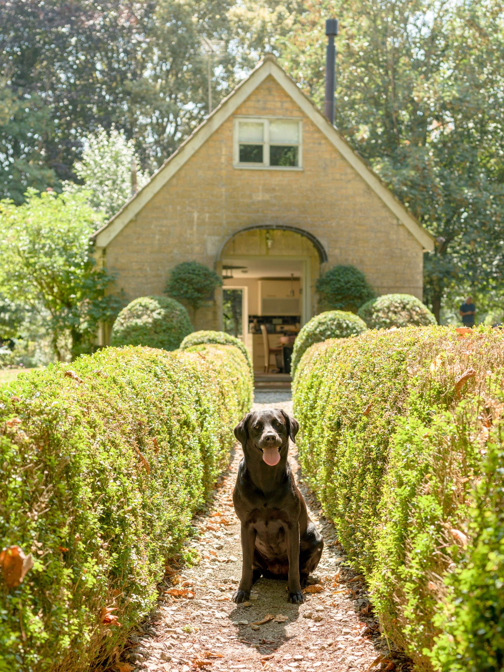 Your 4 legged friends are always welcome at The Pump House!