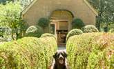 Your 4 legged friends are always welcome at The Pump House! - Thumbnail Image