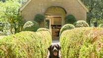 Your four-legged friends are always welcome at The Pump House!