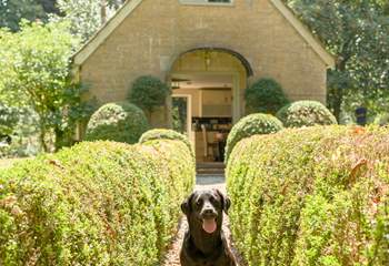 Your 4 legged friends are always welcome at The Pump House!