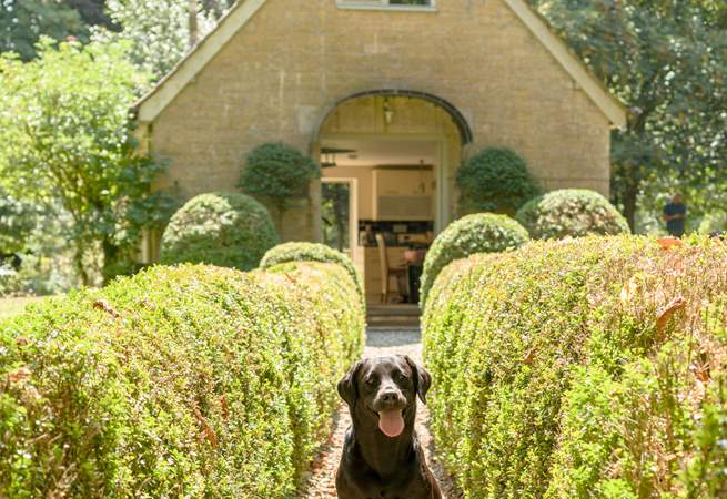 Your 4 legged friends are always welcome at The Pump House!