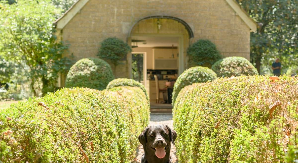 Your 4 legged friends are always welcome at The Pump House!
