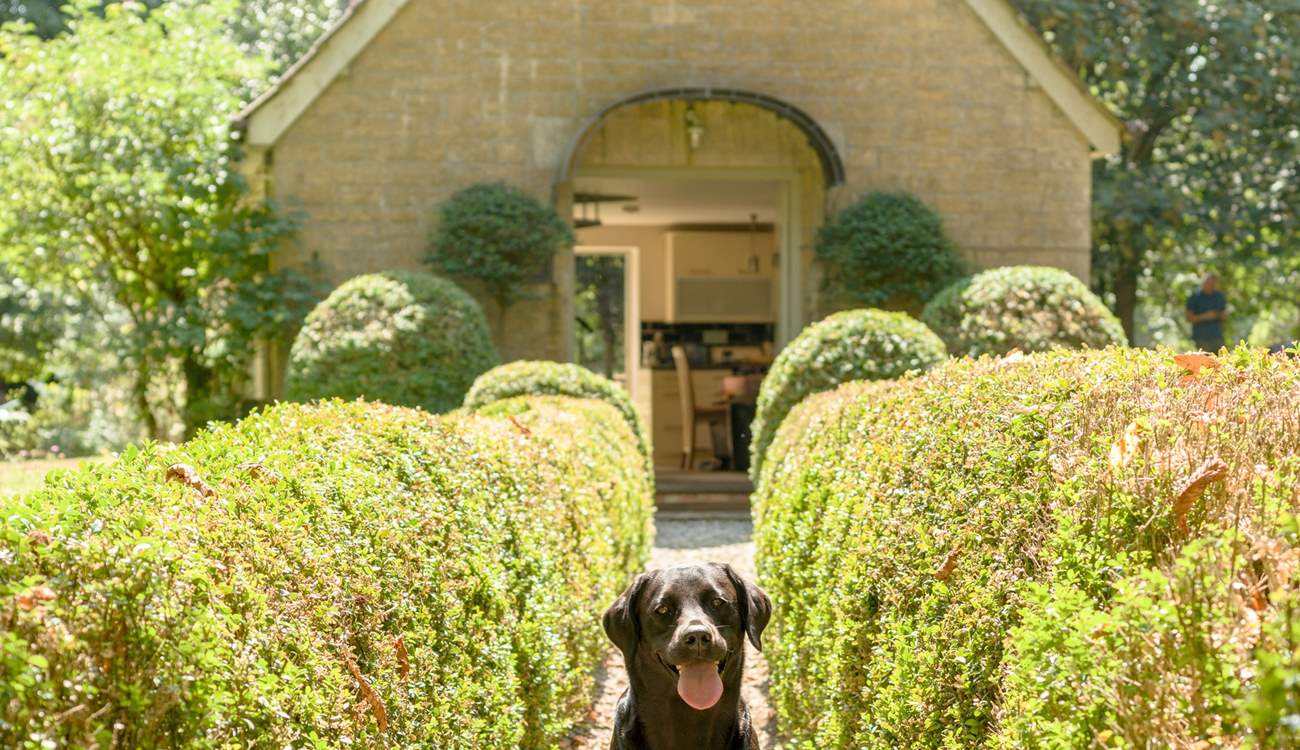 Your 4 legged friends are always welcome at The Pump House!