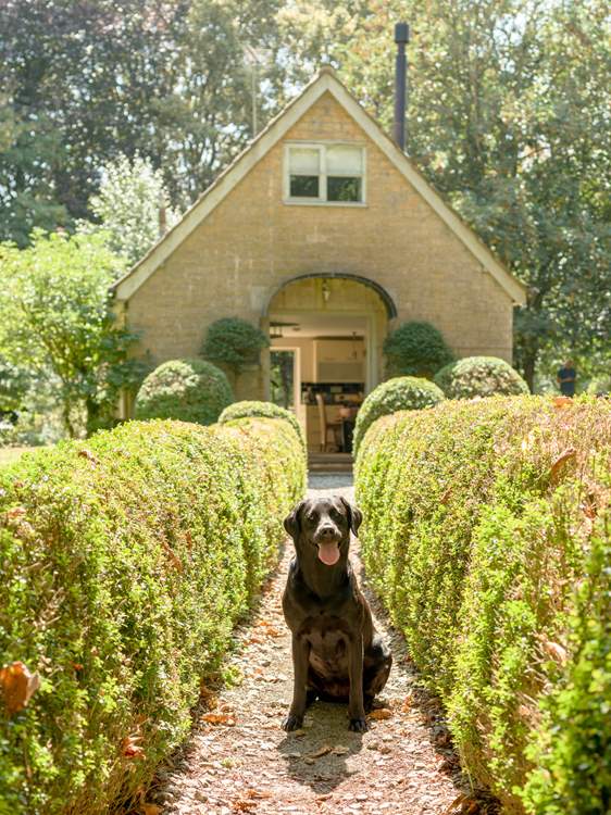Your 4 legged friends are always welcome at The Pump House!