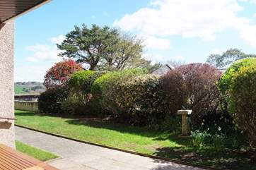 Looking out from the patio.