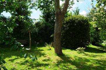 The 'spinney' is a quiet, shady corner of the garden.