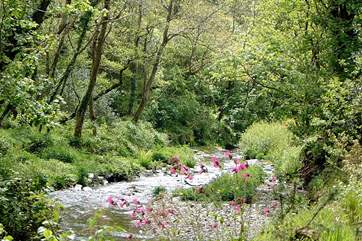 Some of the pretty local scenery - Boscastle has some lovely walks.