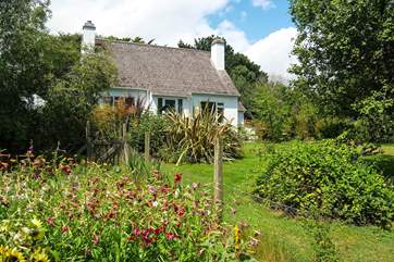 Looking back at the house from the garden.