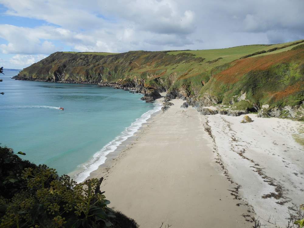 Wonderful cliff-top walks in the area.