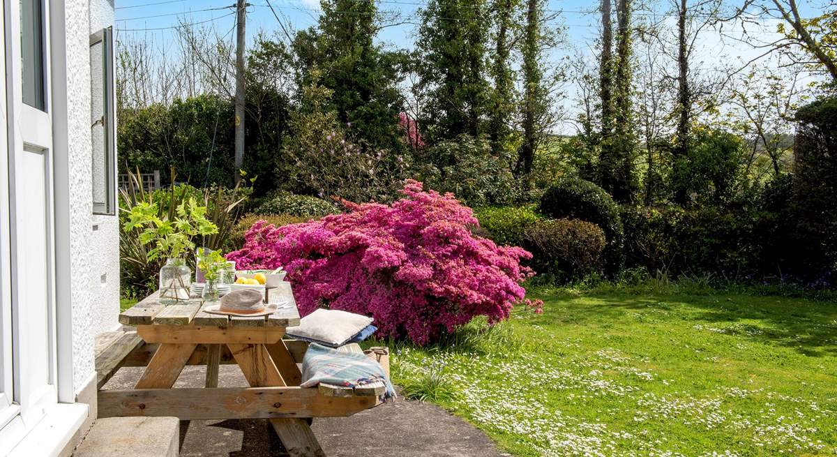 Enjoy sunny meals in the best of the Cornish sunshine.