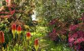 The garden is quite simply delightful. - Thumbnail Image