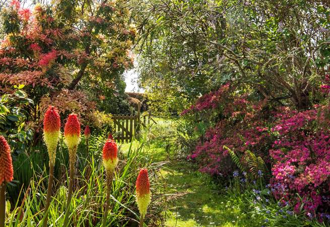 The garden is quite simply delightful.