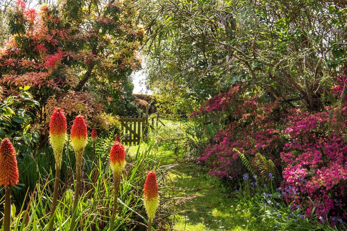 The garden is quite simply delightful.