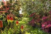 The garden is quite simply delightful.