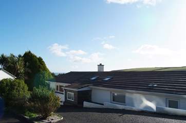 The gently sloping driveway. Four steps lead to the front door from the driveway.