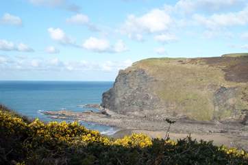 Crackington Haven.