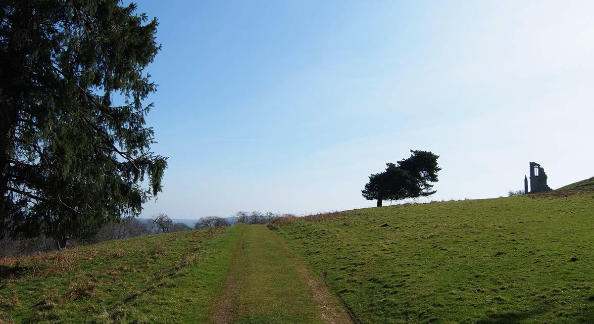 The track goes through the deer park.