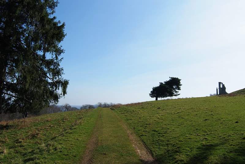 The track goes through the deer park.