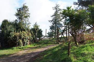 This is the locked gate into the deer park for which you will have a key. Please keep locked at all times.