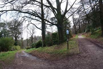 The track down to the cottage.