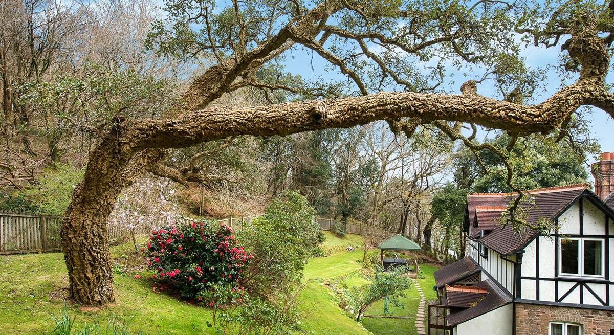 The gardens are delightful all year round!