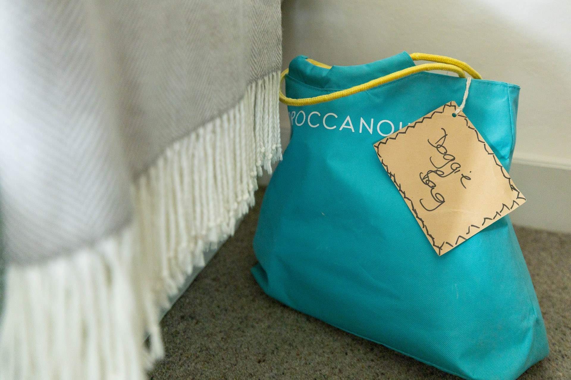 Your four-legged friend also gets a very warm welcome.