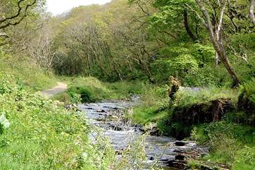 Some of the pretty local scenery.