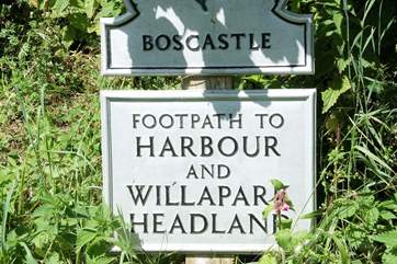 The walks are stunning and protected by the National Trust.